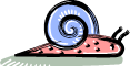 snail